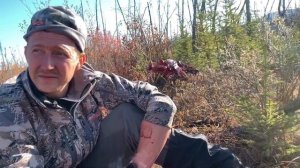 Аляска. День 6. Разделываем добытого лося.