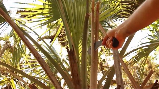 Top 10 Best Machete in The World 2024 смотреть онлайн