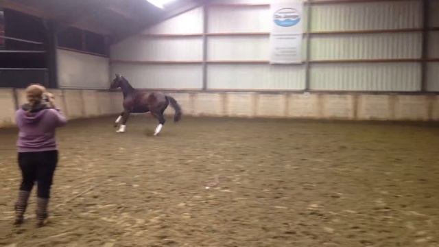 Fernando ( Tango x Rossini ) смотреть онлайн