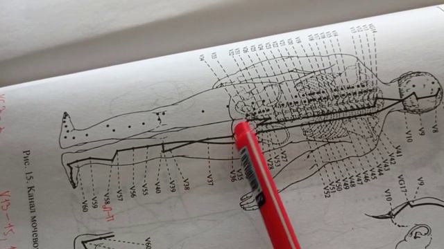 Каналы и связи. Меридианы. БАТ. Маятник. Биолокация. Практика смотреть онлайн