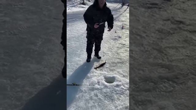 жара в Капустино. Часть 2 смотреть онлайн