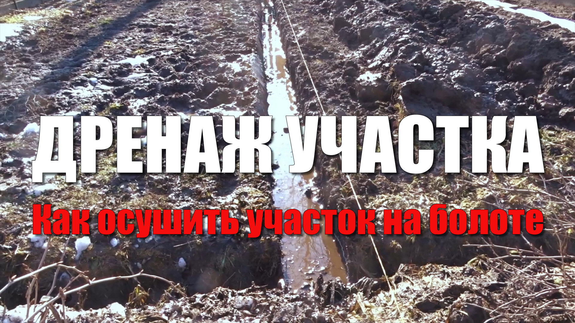 Дренаж участка. Как осушить участок. Как сделать дренаж своими руками смотреть онлайн