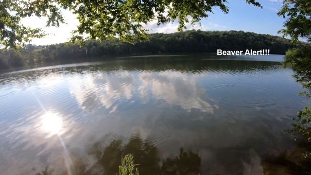 Berkley Gulp 1 Inch Minnow Review смотреть онлайн