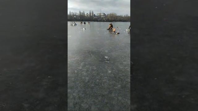 Пенсионный залив 01. 02.24 смотреть онлайн