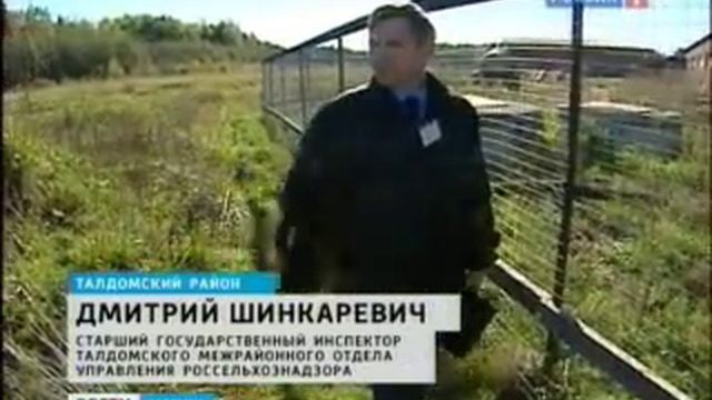 Свиноферма в Подмосквовье смотреть онлайн