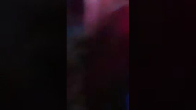 Lps a day at the carnival:pt 1 смотреть онлайн
