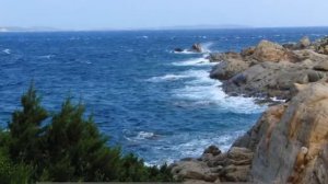 Голубка (кубинская песня)