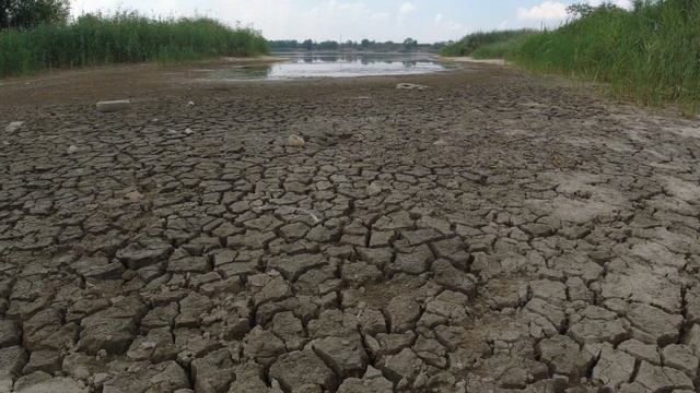 Все.Кина не будет. Все ушли на .... пляж-9 смотреть онлайн