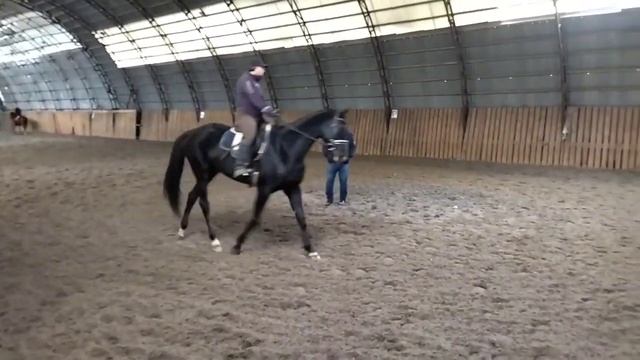 Тренировка с Олимпийским Чемпионом Виктором Петровичем Угрюмовым. смотреть онлайн