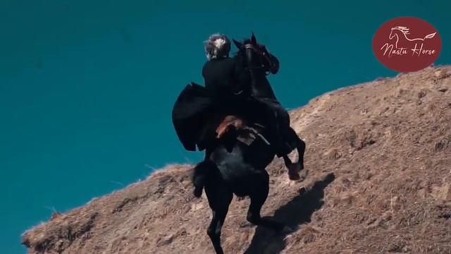 Карачаевская порода лошадей +15 смотреть онлайн