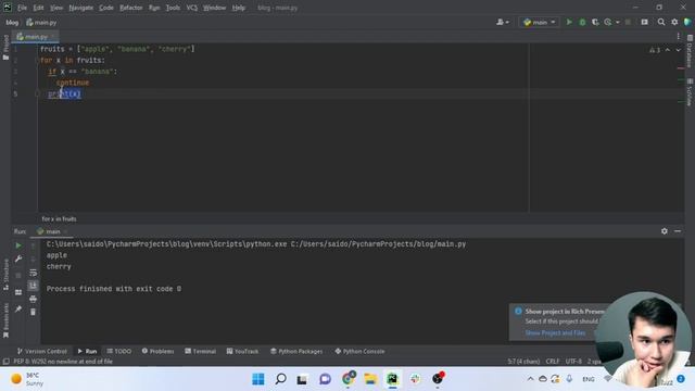 Учим цикл while и for в Python смотреть онлайн