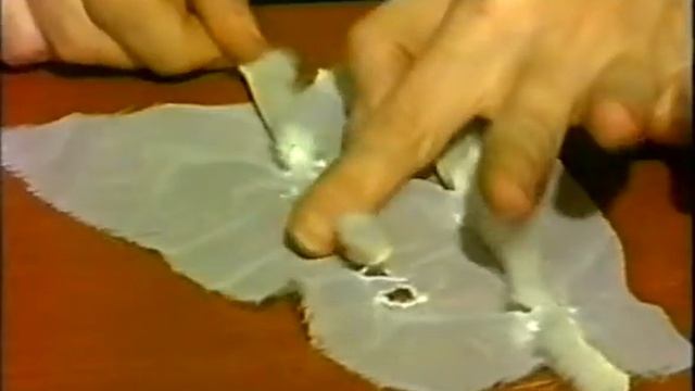 Аппликация.mpg смотреть онлайн