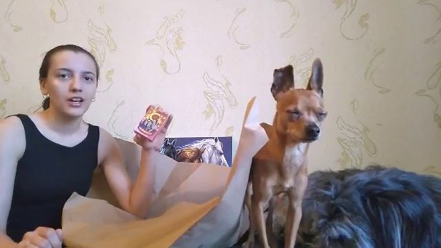 Распаковка посылки/ Лакомства для собак/ Подарки на Дни Рождения смотреть онлайн