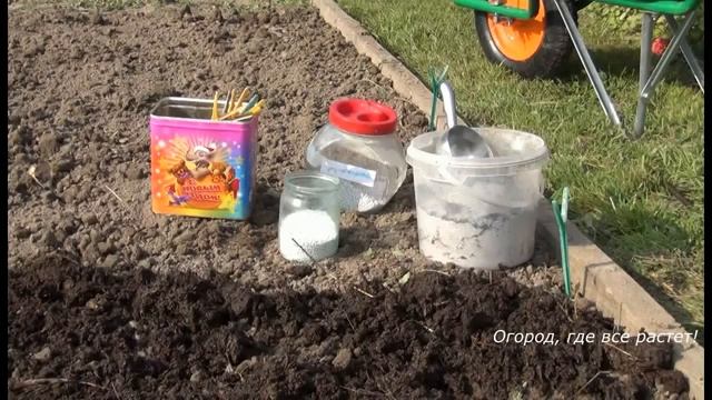 Посадка клубники с гарантией на хороший результат.mp4 смотреть онлайн