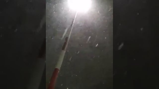 У природы нет плохой погоды! смотреть онлайн