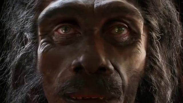The evolution of human faces in the last 6 million years смотреть онлайн