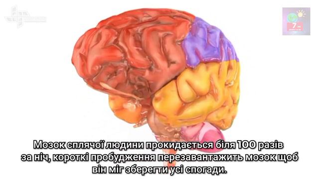 7 цікавих фактів 🤔#63 "Живучість Алое"🌱 смотреть онлайн