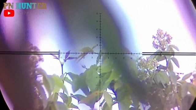 BERBURU PUNAI DAHAN 2022 ‼️ LANGSUNG DI MASAK DI LOKASI SPOT BERSAMA @Java HuntVlog смотреть онлайн