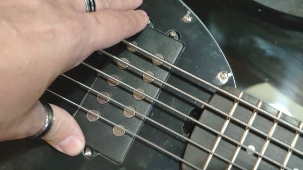 Обзор сборки китайской реплики Musicman StingRay 5 струн чёрная с чёрным пикгардом