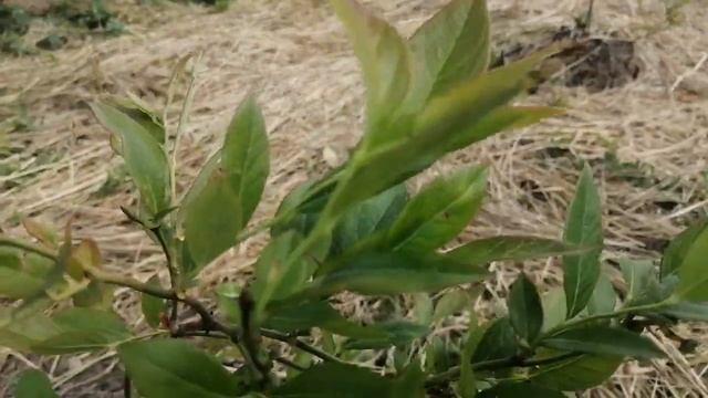 Дом Своими Руками