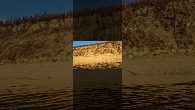 А самые любимые животные у нас это наши олени гордость эвенков наши друзья смотреть онлайн