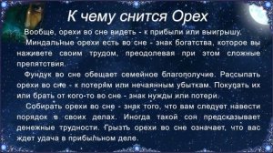 К чему снится Орех (Сонник)