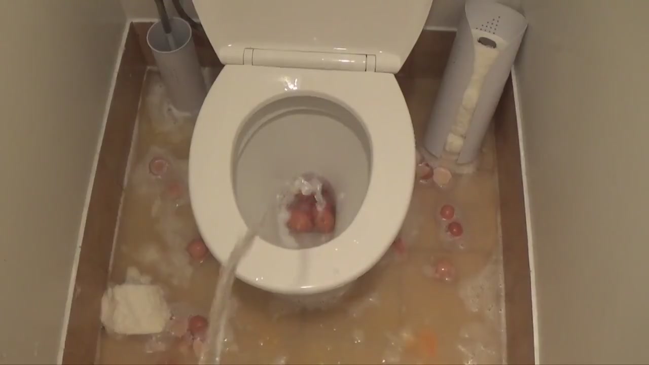 Как люди ходят в общественный туалет смотреть онлайн