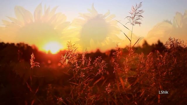 Robert Haig Сoxon - Light "Свет в природе" смотреть онлайн