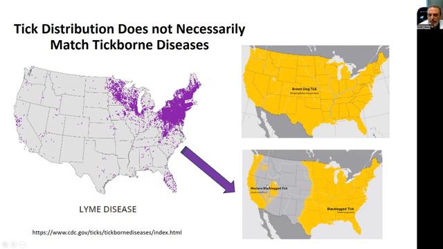 USET Infectious Disease ECHO on June 9, 2023. This session focused on Lyme Disease. смотреть онлайн