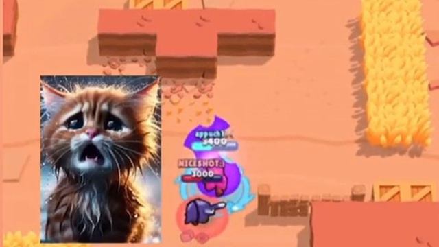 бедни кит смотреть онлайн