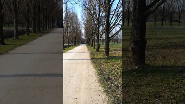 Ботокс и Со в 70?  Да или нет?