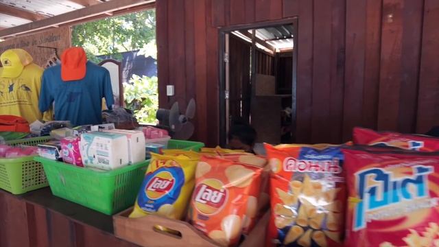 Симиланы сейчас. В шоке от увиденного! Экскурсии Пхукета, Таиланд смотреть онлайн