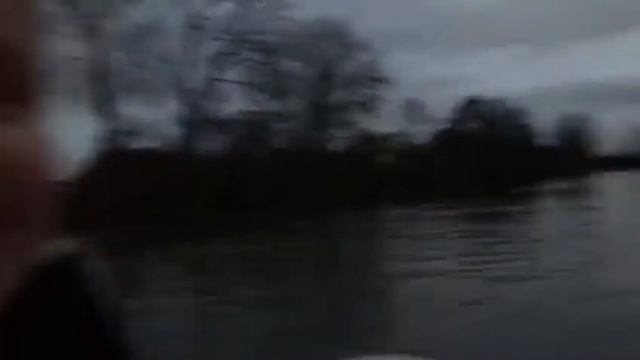 Honwave T40 BF30 смотреть онлайн