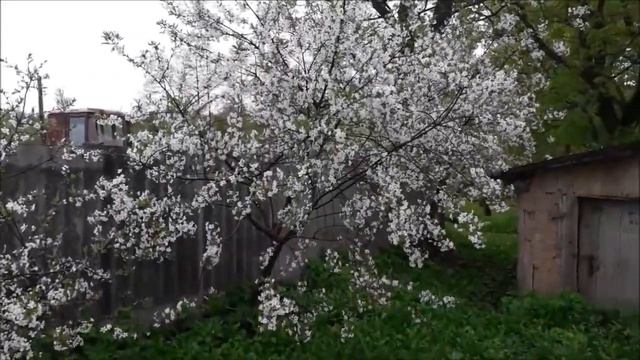 ДЕРЕВЕНСКАЯ ПРИРОДА ИЛИ МАЙ ЦВЕТУЩИЙ И ПОЮЩИЙ... смотреть онлайн