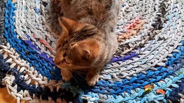 Деревенский ужин. Жареная картошка на печи. Донская селёдка с лучком. Сельская жизнь в глубинке. смотреть онлайн