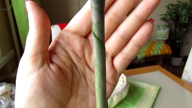 Реанимашка-орбифолия - большая умница!!!