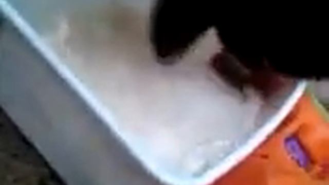 Dexter Eating Ice Cream