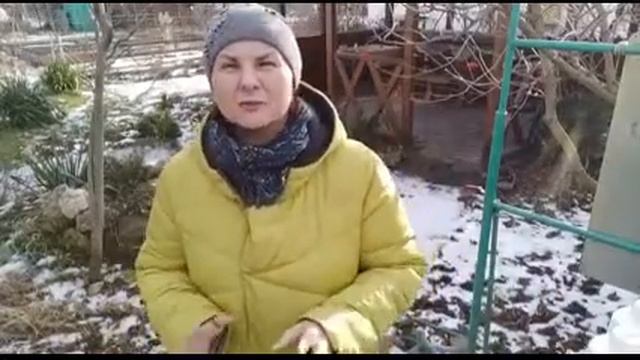 Как без химии обработать сад / огород смотреть онлайн