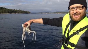 Рыбалка в Норвегии с лодки! НЕОЖИДАННЫЙ ГОСТЬ! Ловля Мольвы! Ловля Осьминога. Норвегия. Рыбалка.