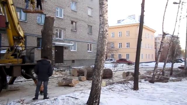 23.11.11 г. 3. Дерево спилили смотреть онлайн