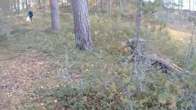 Онежское озеро поездка на машине смотреть онлайн