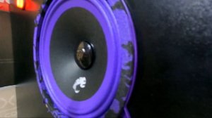 Лучшая акустика 13 см до 2000руб DL Audio Piranha 130 v.2 ?