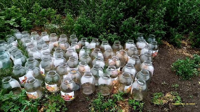 Интересные Находки На Свалке. смотреть онлайн