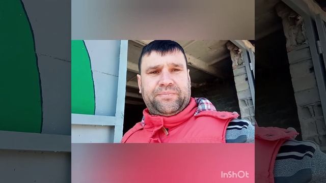 Куры несушки как бизнес. Принудительная линька кур несушек. Как поднять яйценоскость кур. смотреть онлайн