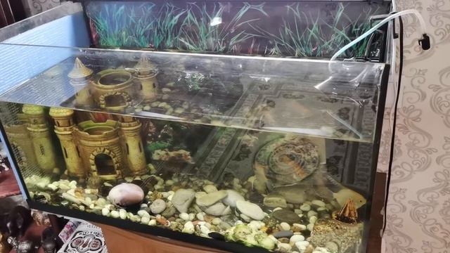 Где взять лучшее бесплатное удобрение? / Удался ли веник? / Зачем ведем раскопки снега смотреть онлайн