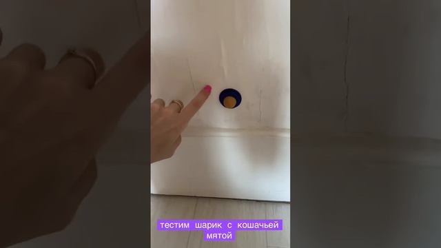 🐈кот Кевин тестит шарик с кошачьей мятой смотреть онлайн