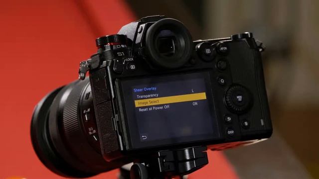 Panasonic - LUMIX S Series - DC-S1, DC-S1R - Tutorial: Sheer Overlay