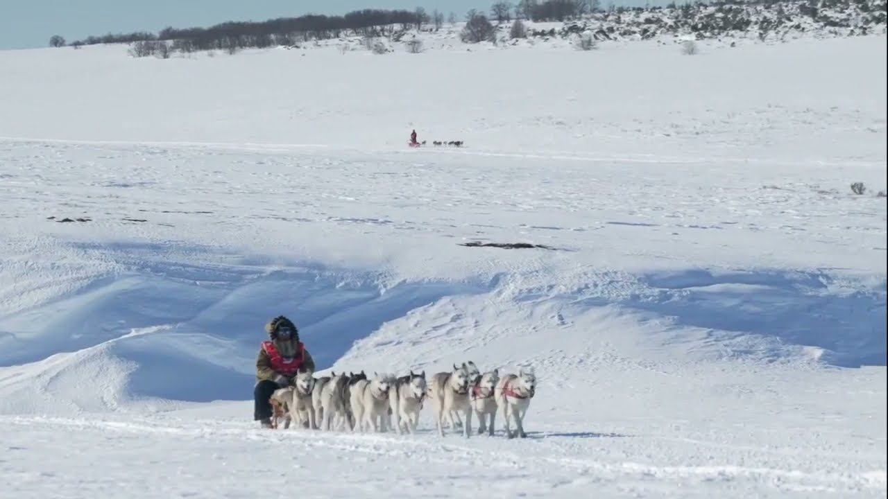 Снегоход Frontier 1000 на гонке Берингия-2022 смотреть онлайн