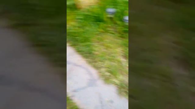 Реставрация ул.Победа, г. Поронайск, о. Сахалин.(43) смотреть онлайн