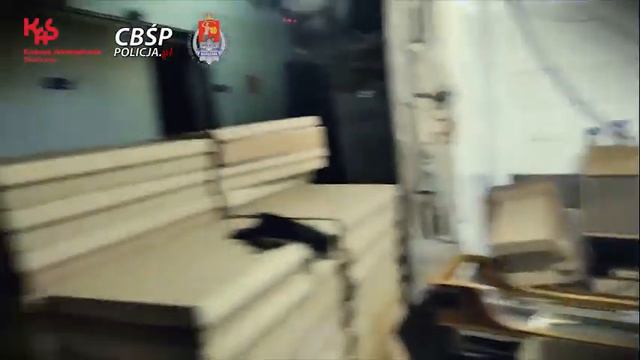 В Польше прикрыли нелегальную табачную фабрику. Задержано 11 человек, в том числе 9 белорусов смотреть онлайн